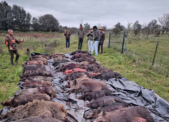 Resultado Montería Herdade da Rusga 2026 ManchaSul